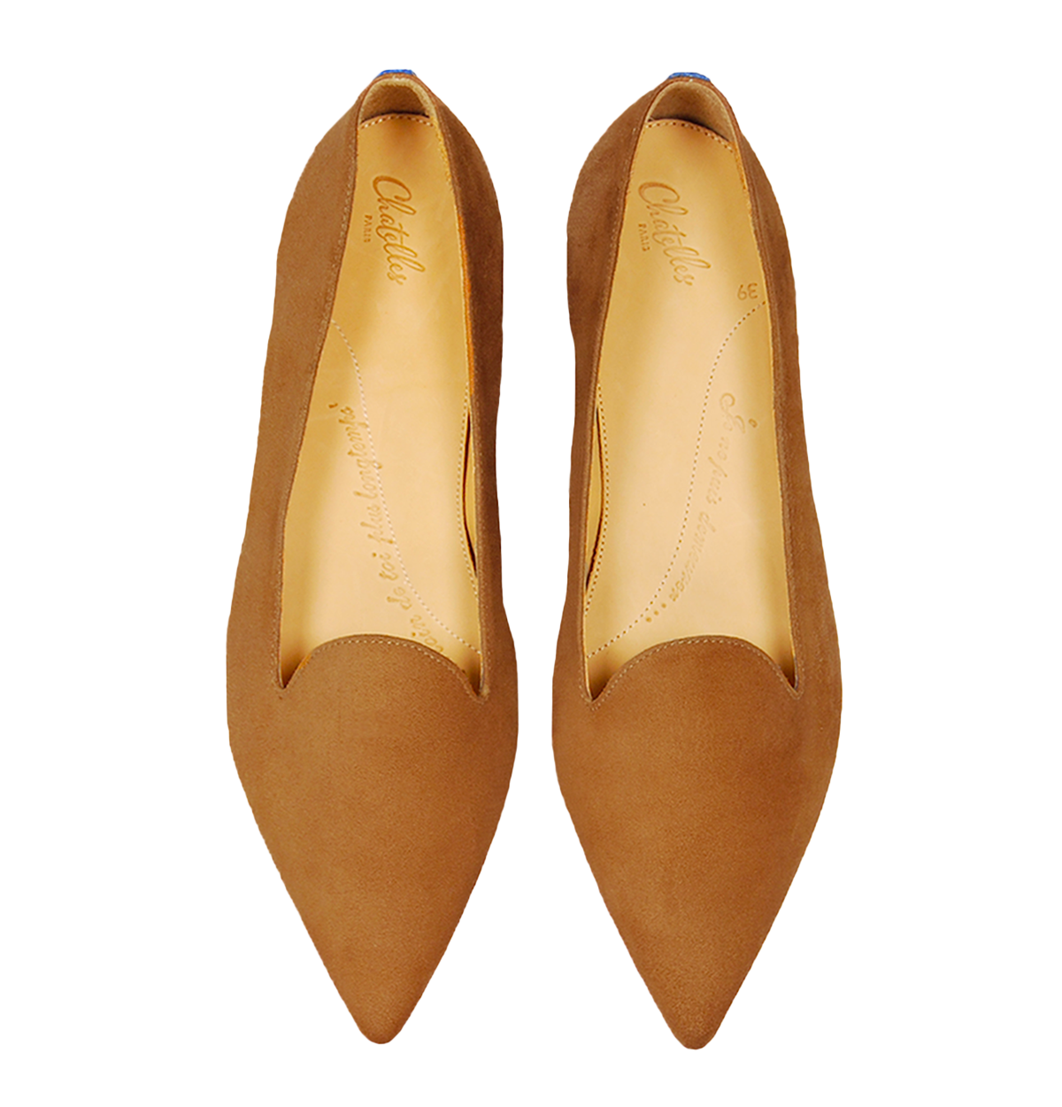 Isidore Camel